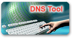 DNS Tool